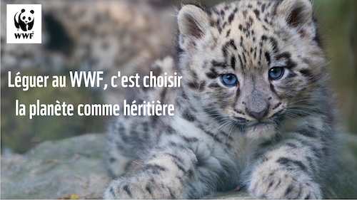 À quoi ressemblera notre Terre dans cent ans ?

