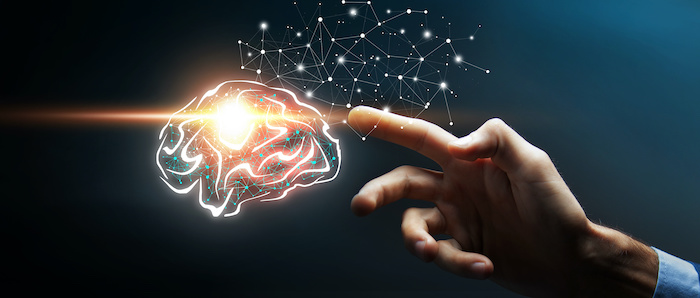 Knowledge management au sein des offices notariaux
