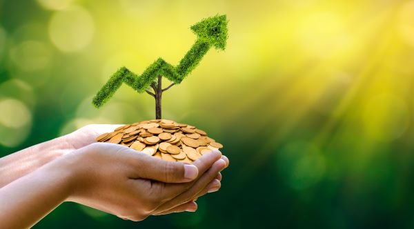 Les encours de la finance solidaire en hausse de 15 % par rapport à 2022
