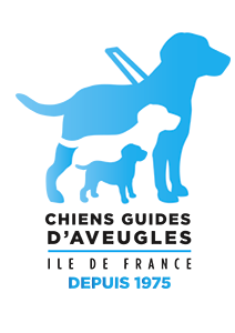 Zoom sur l'association du jour : Chiens Guides d'Aveugles d'Île-de-France
