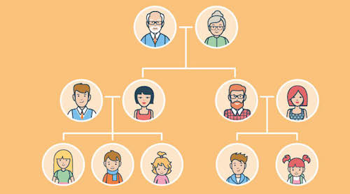 Comment faire pour… établir une généalogie descendante ?
