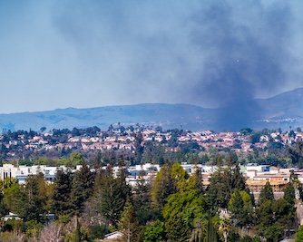 Biens immobiliers et risques de feux de forêt : une obligation d'information élargie
