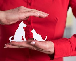 Renforcement de la lutte contre la maltraitance animale

