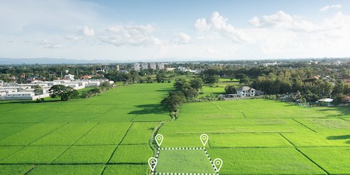 Foncier innovant : entre mythes de l'IA et réalités du terrain