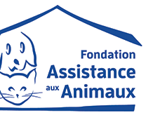 Zoom sur l'association du jour : Fondation Assistance Aux Animaux
