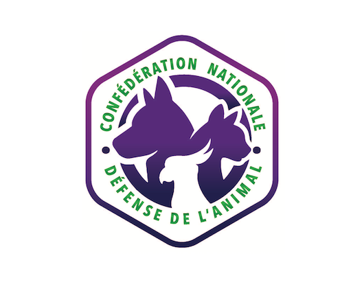 Cinq questions à Défense de l'animal – Confédération Nationale-Défense
