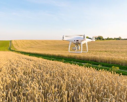 Le CSN se positionne en faveur de la modernisation du monde agricole
