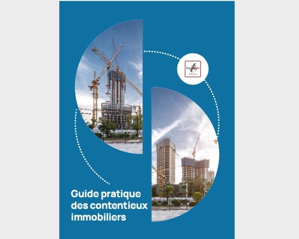Prévenir et gérer les litiges dans la Construction et l'Immobilier : conseils essentiels et acteurs concernés
