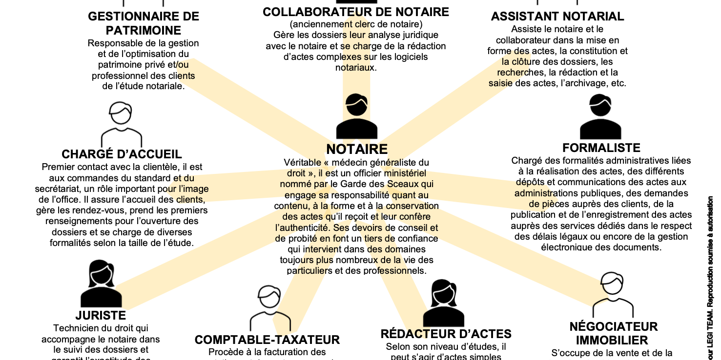 Métiers du notariat : qui fait quoi au sein des offices notariaux ?