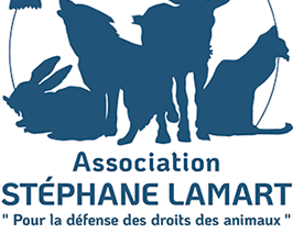 Zoom sur l'association du jour : Association Stéphane LAMART
