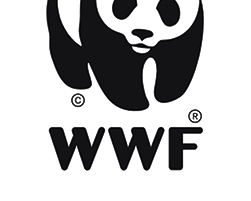 Zoom sur l'association du jour : Fondation WWF-France
