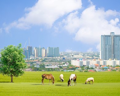 Immobilier : assiste-t-on à un "exode urbain" ?
